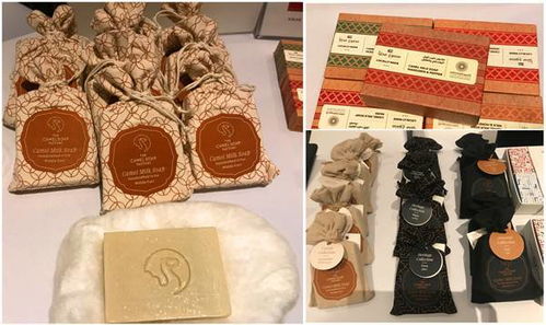 迪拜世博會上海參展情況如何 點開便知