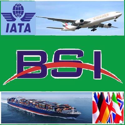 深圳市柏威國際貨運代理：一站式國際物流解決方案